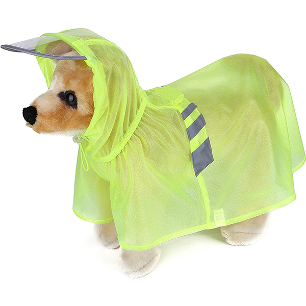 dog-raincoat.jpg