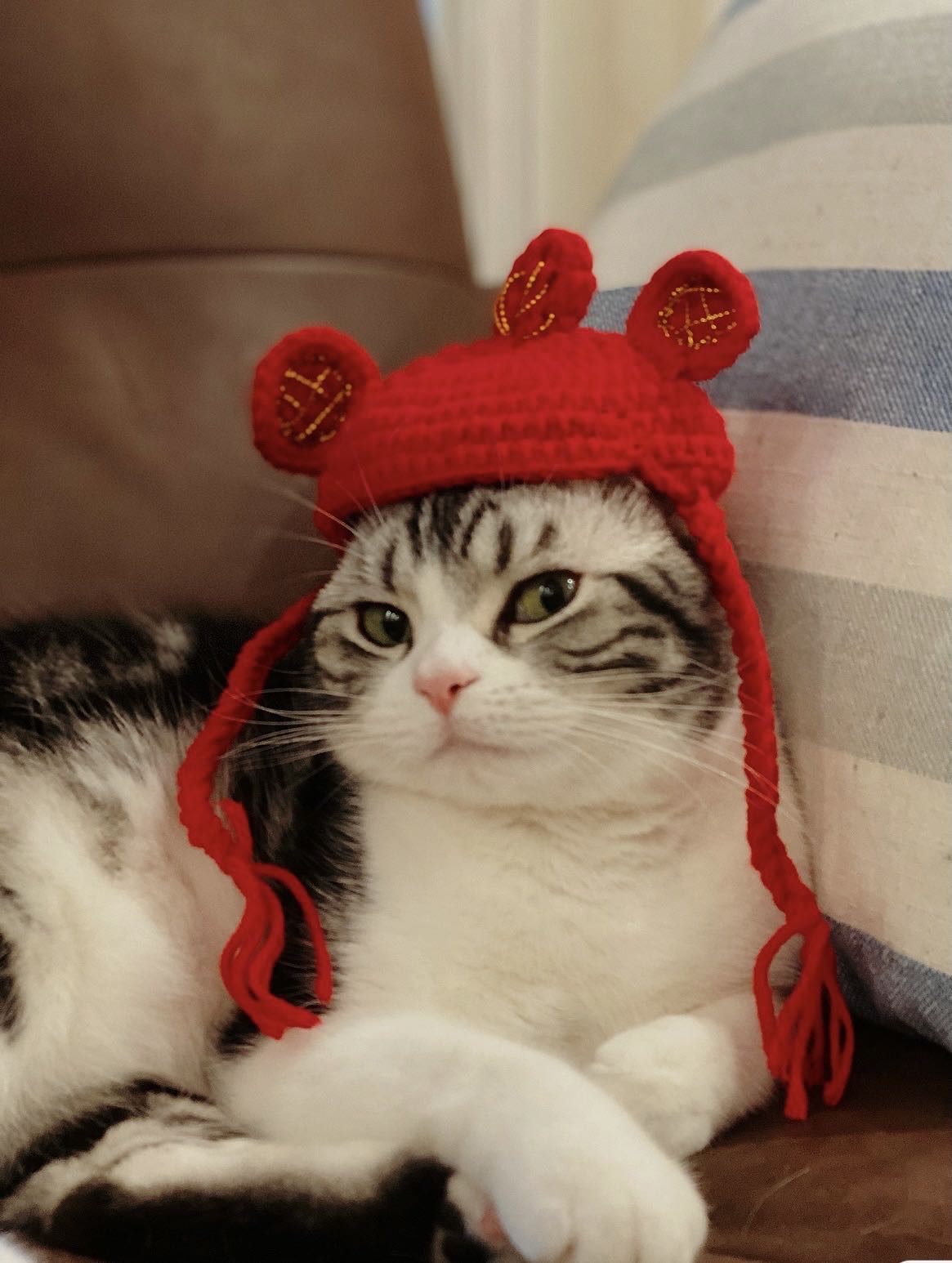 The 134th Canton Fair: A Grand Finale to Remember