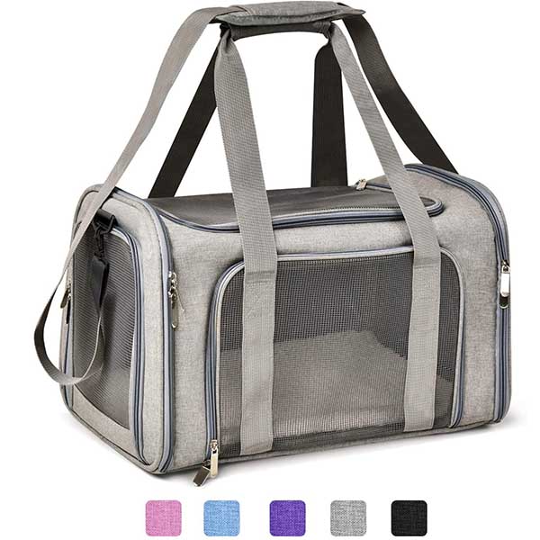 cat-dog-carrying-bagg8r