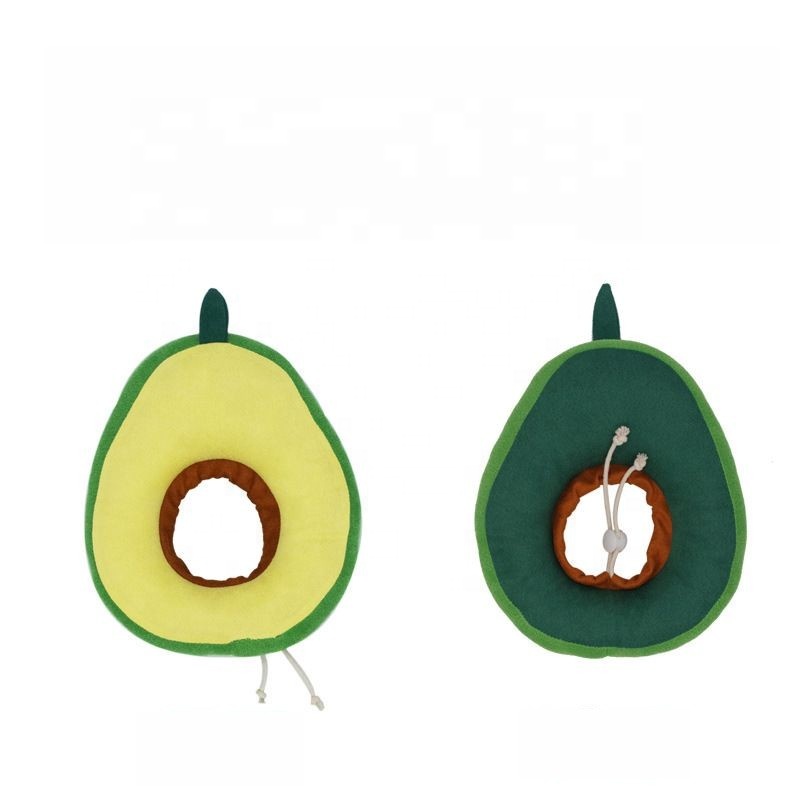 cat-elizabeth-circle1xg